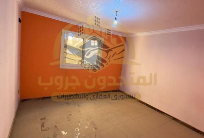 65657938 - Property Image 3