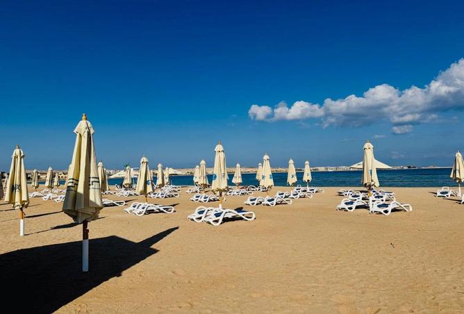 56750857 - Property Image 2