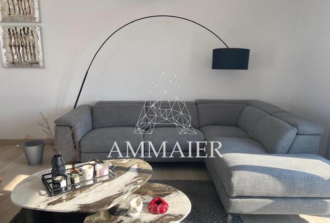 8449244 - Property Image 3