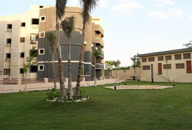 97442395 - صورة العقار 3