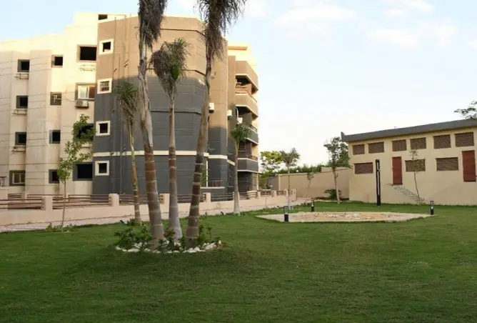 97442395 - Property Image 3
