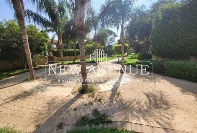 66696723 - Property Image 2