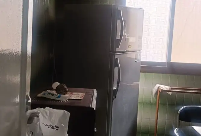 118291386 - صورة العقار 2