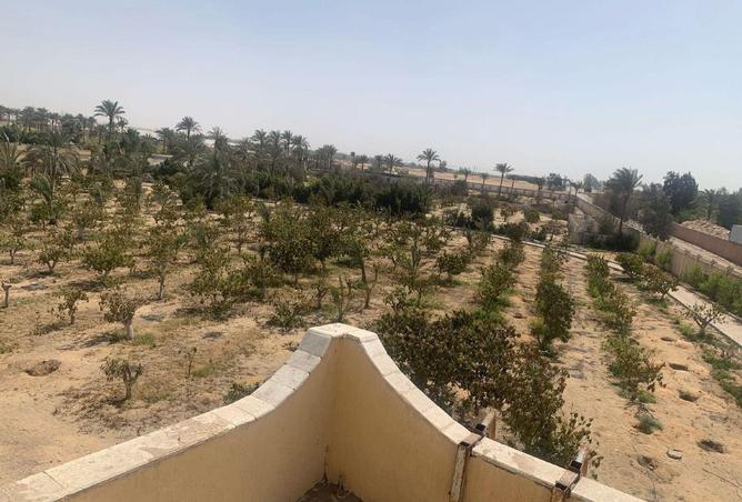 8642439 - Property Image 2