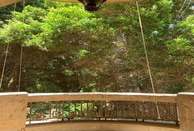 61442597 - صورة العقار 2