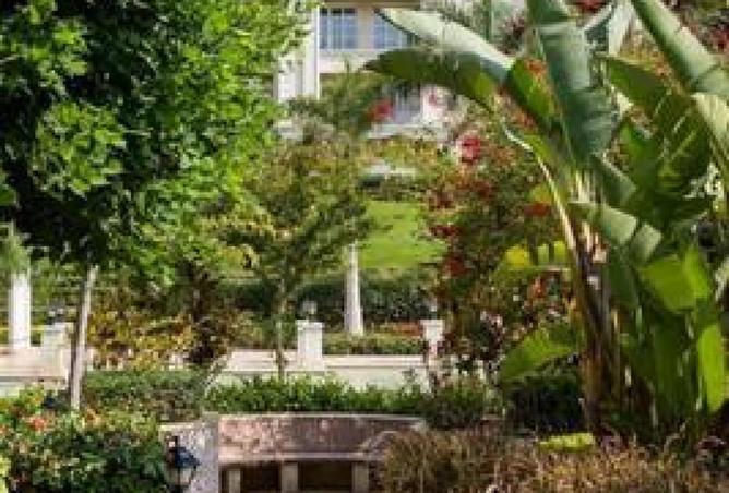 58250509 - صورة العقار 3