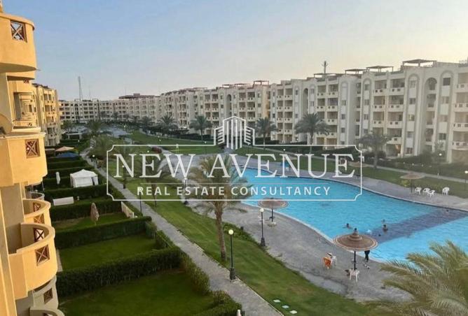 54493659 - Property Image 3