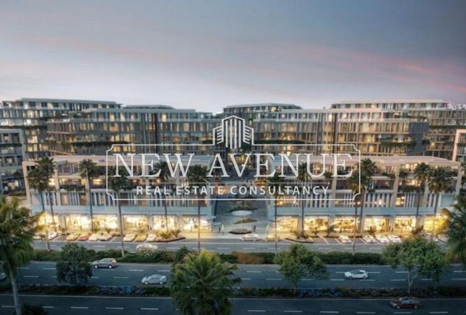 66435223 - Property Main Image