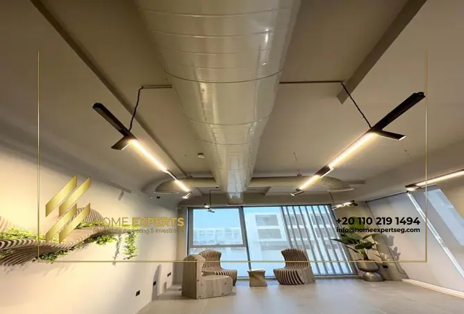 114611869 - Property Image 3