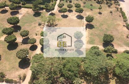 Apartment - 3 Bedrooms - 2 Bathrooms for sale in Al Sawaf St. - 9th Zone - Nasr City - Cairo