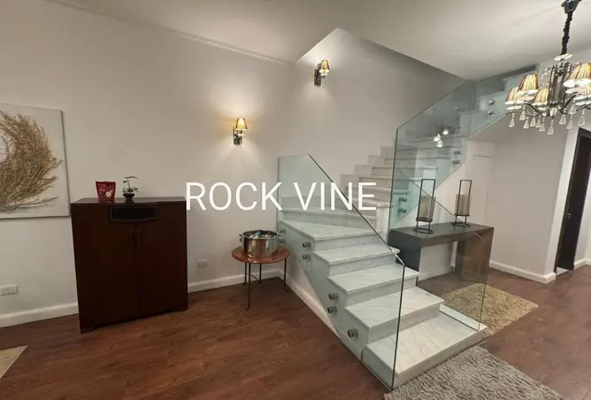 113259485 - Property Image 3