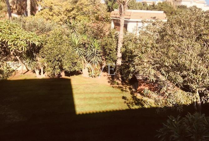 59989048 - صورة العقار 2