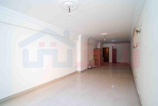 62647611 - Property Image 3