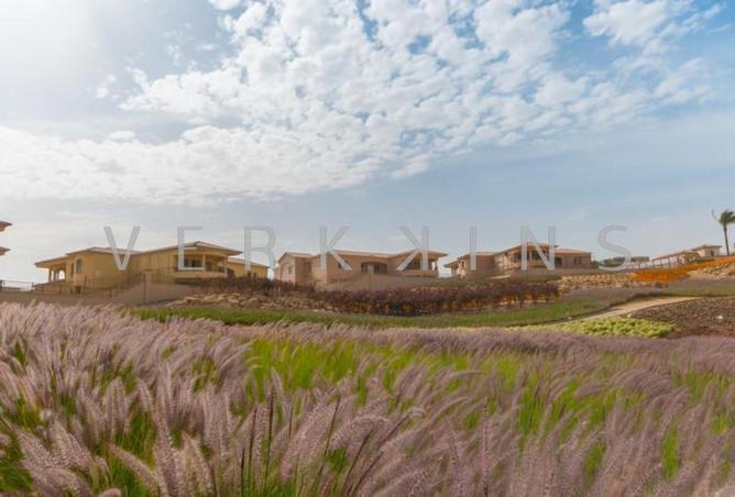 66964920 - Property Image 2