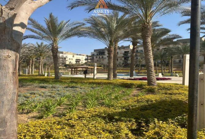 8596171 - صورة العقار 2