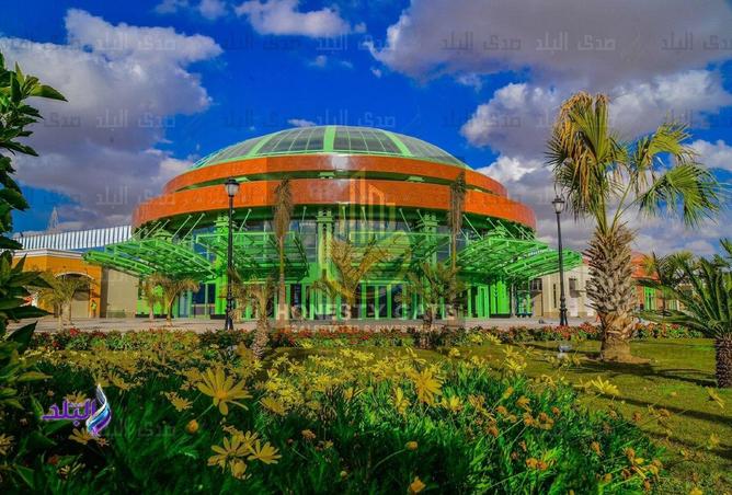 94101385 - صورة العقار 3