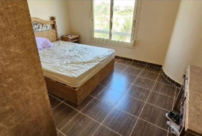 53717270 - Property Image 3