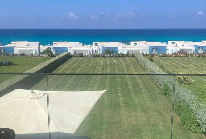 8717063 - صورة العقار 2