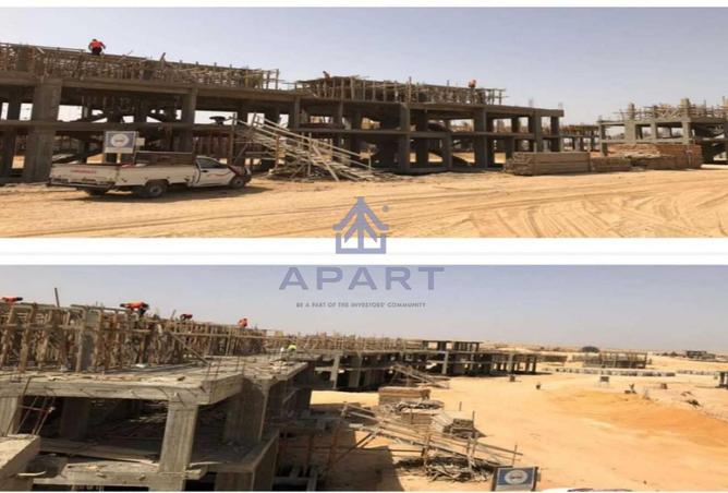 66175463 - صورة العقار 3