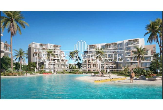 63141719 - Property Image 2