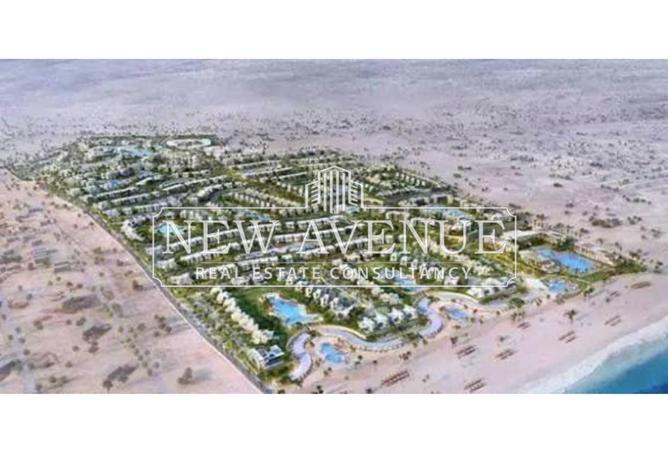 63141719 - Property Image 3