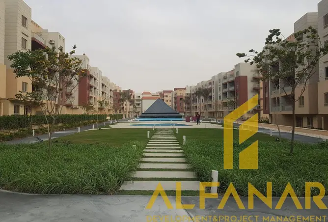 113537949 - Property Image 3