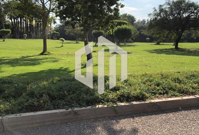 52194660 - صورة العقار 3