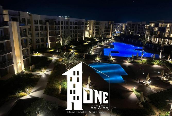 57736610 - Property Image 2