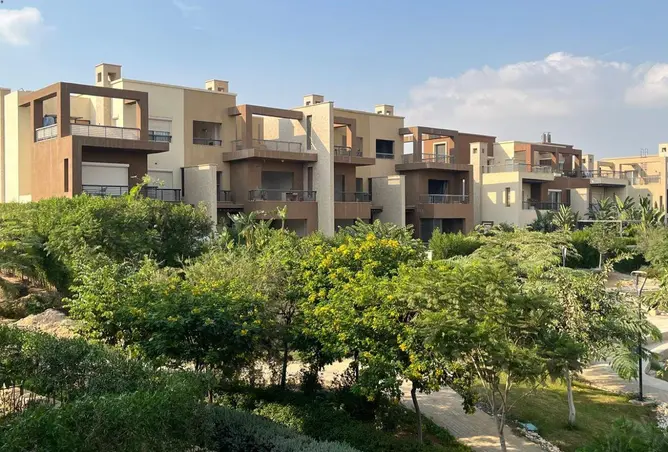 119844183 - Property Image 3