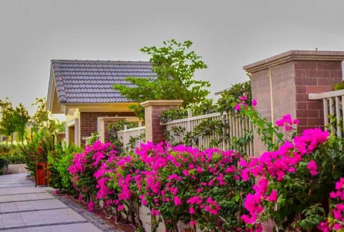 66699867 - صورة العقار 3