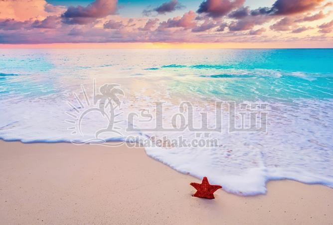 107681446 - الصورة الرئيسية للعقار