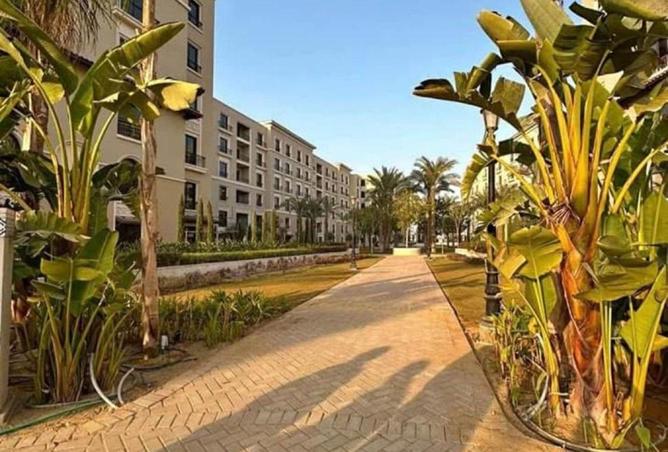 53724247 - Property Image 3