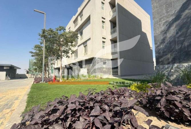 58256239 - صورة العقار 2