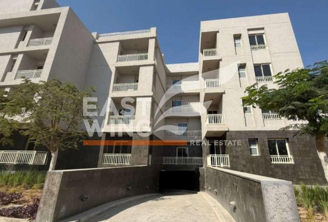 58256239 - صورة العقار 3