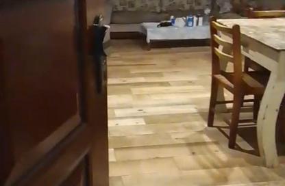 Apartment - 3 Bedrooms - 2 Bathrooms for rent in Ahmed Fakhry St. - 6th Zone - Nasr City - Cairo