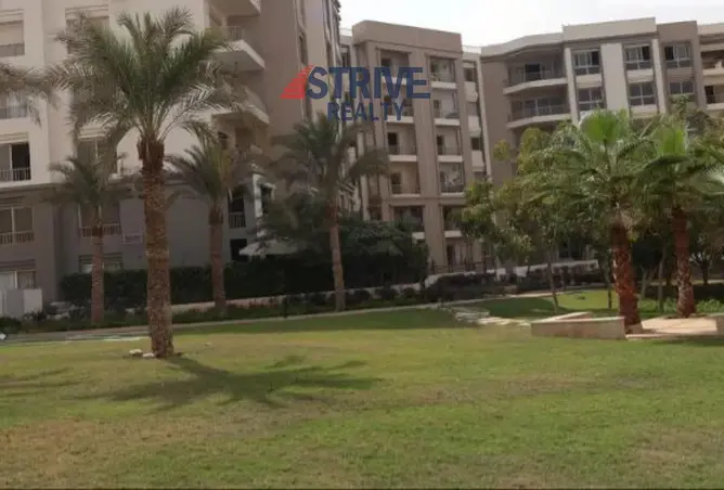 105158346 - صورة العقار 3