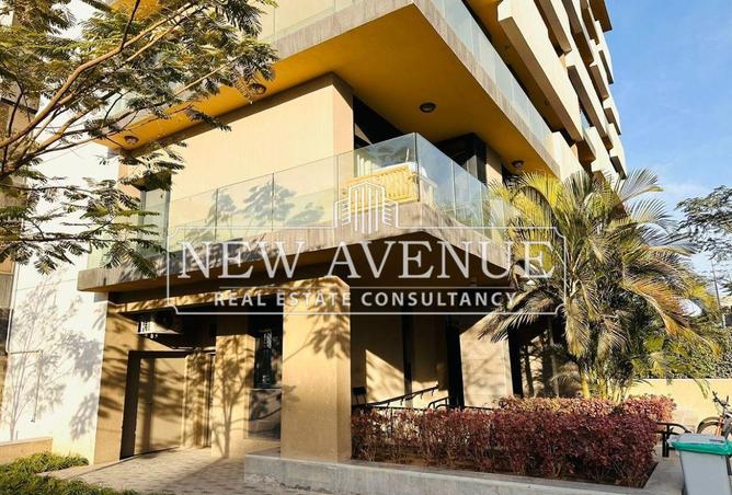 53978994 - صورة العقار 2