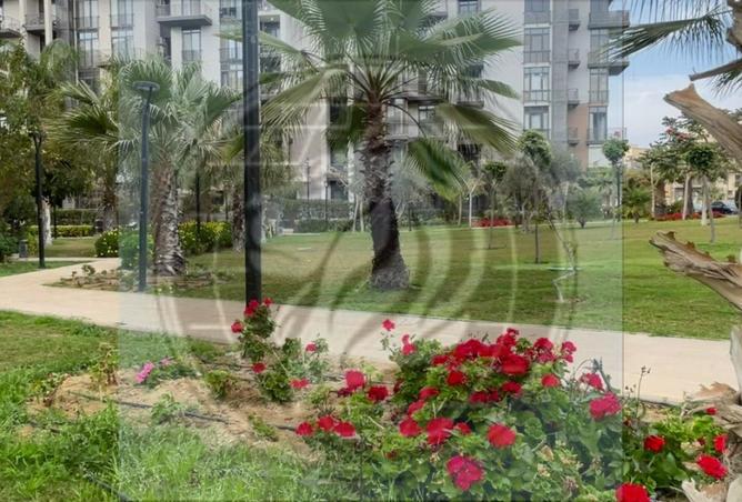 71650426 - Property Image 2
