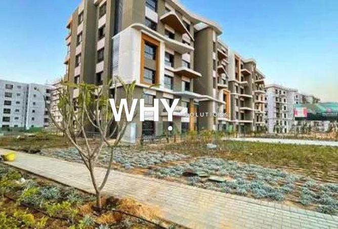 70365775 - Property Image 3