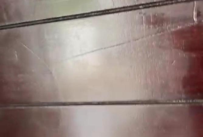 56996112 - Property Image 3