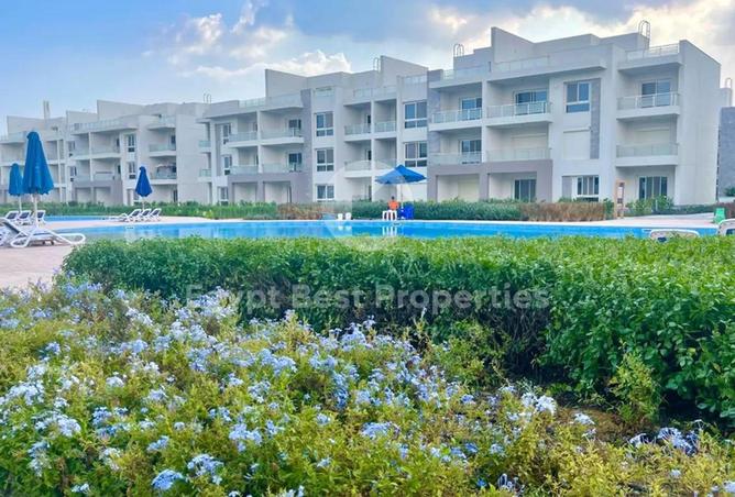 51167586 - صورة العقار 2