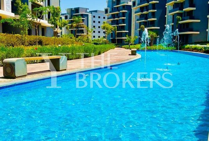 56250477 - Property Image 3