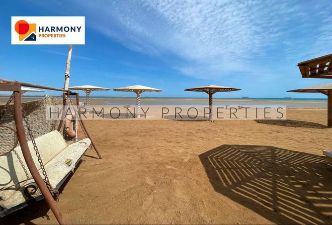 62646900 - Property Image 3