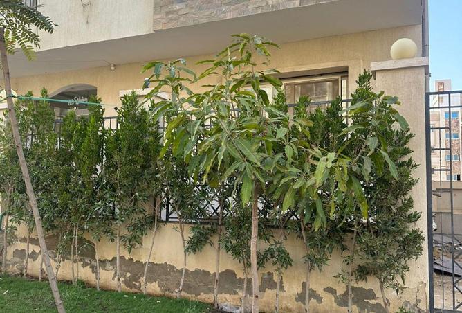 64908067 - صورة العقار 2