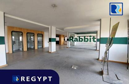 Full Floor - Studio - 3 Bathrooms for rent in Sarayat Al Maadi - Hay El Maadi - Cairo