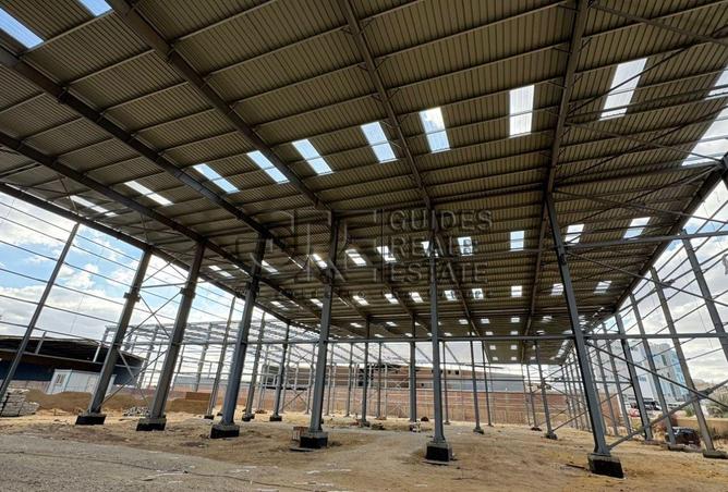 58988022 - صورة العقار 2