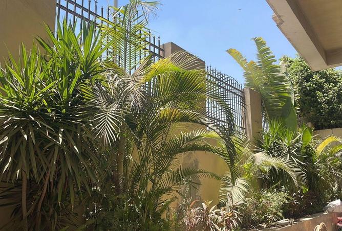 61192835 - صورة العقار 3