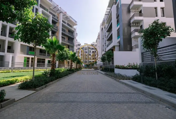 107408545 - Property Image 3