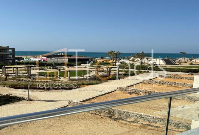 67729283 - صورة العقار 3