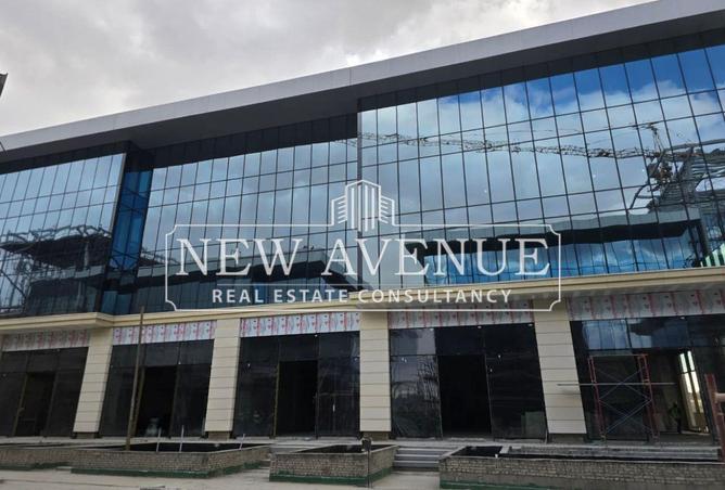 54498667 - Property Image 3